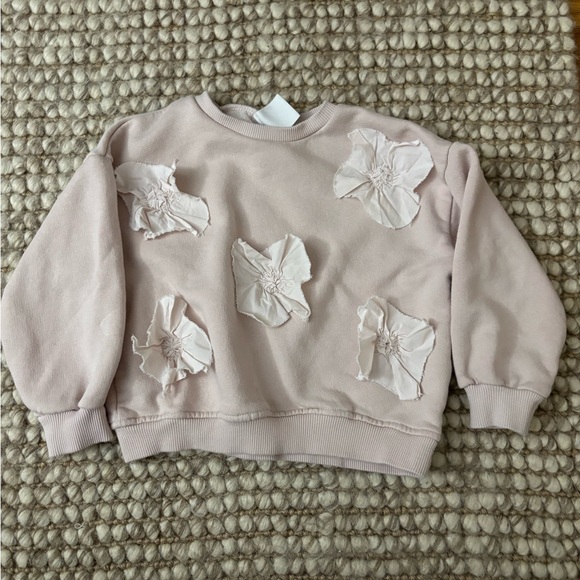 Light pink Zara Sweatshirt with Floral Appliques - Picture 2 of 4